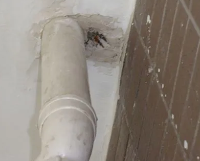 祁县漏水检测哪家好